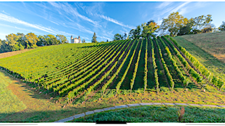 IMMERSION GOURMANDE - Au cœur des vignes du Château à Bizanos